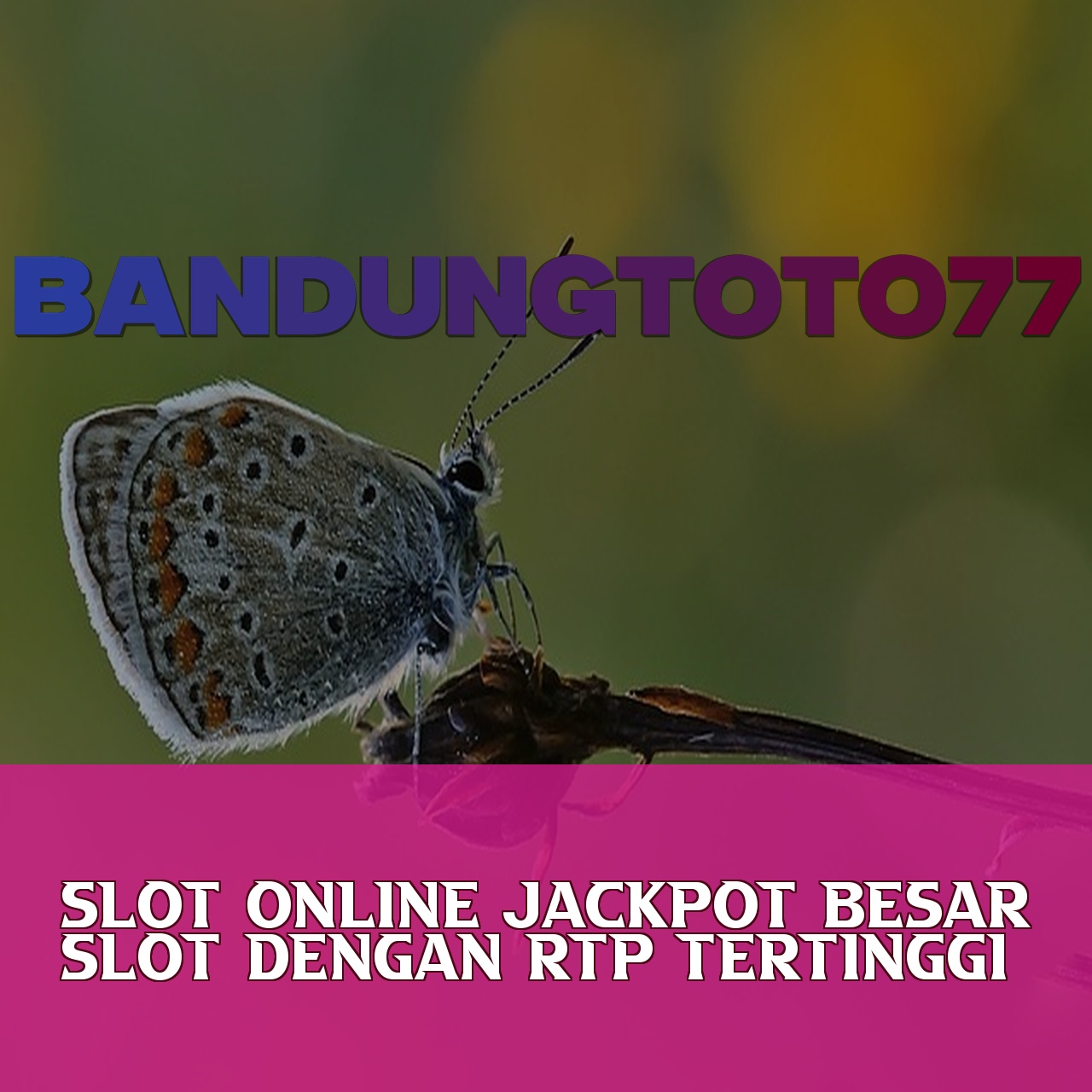 BANDUNGTOTO77