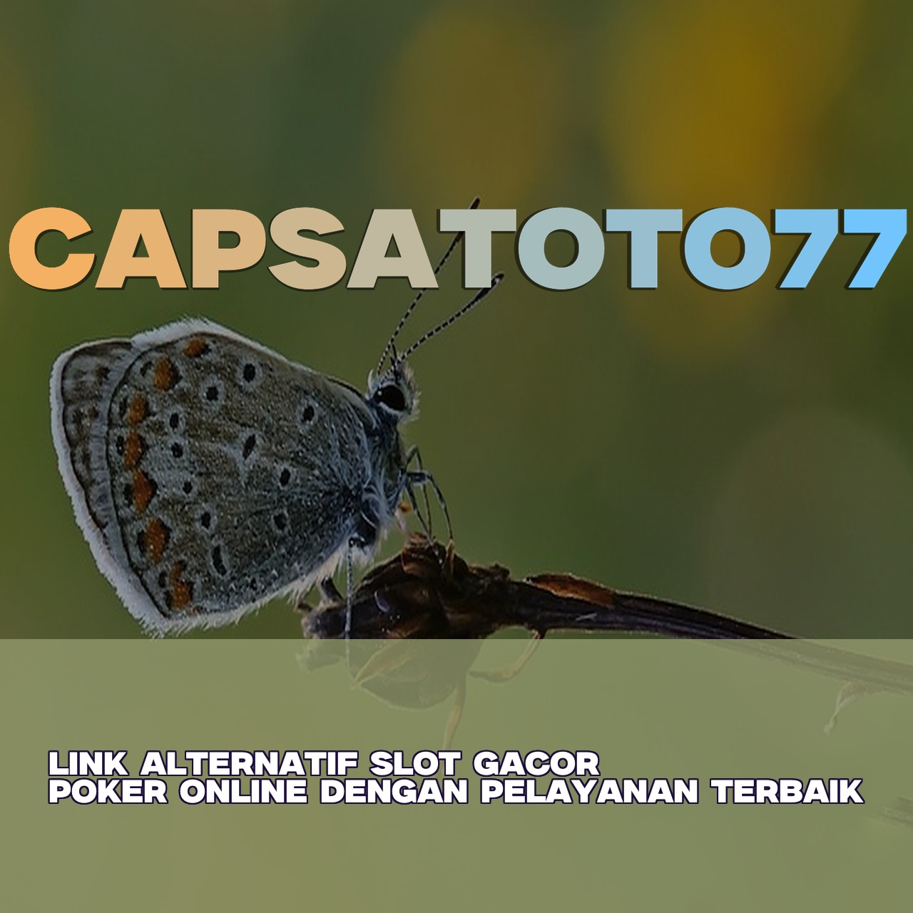 CAPSATOTO77