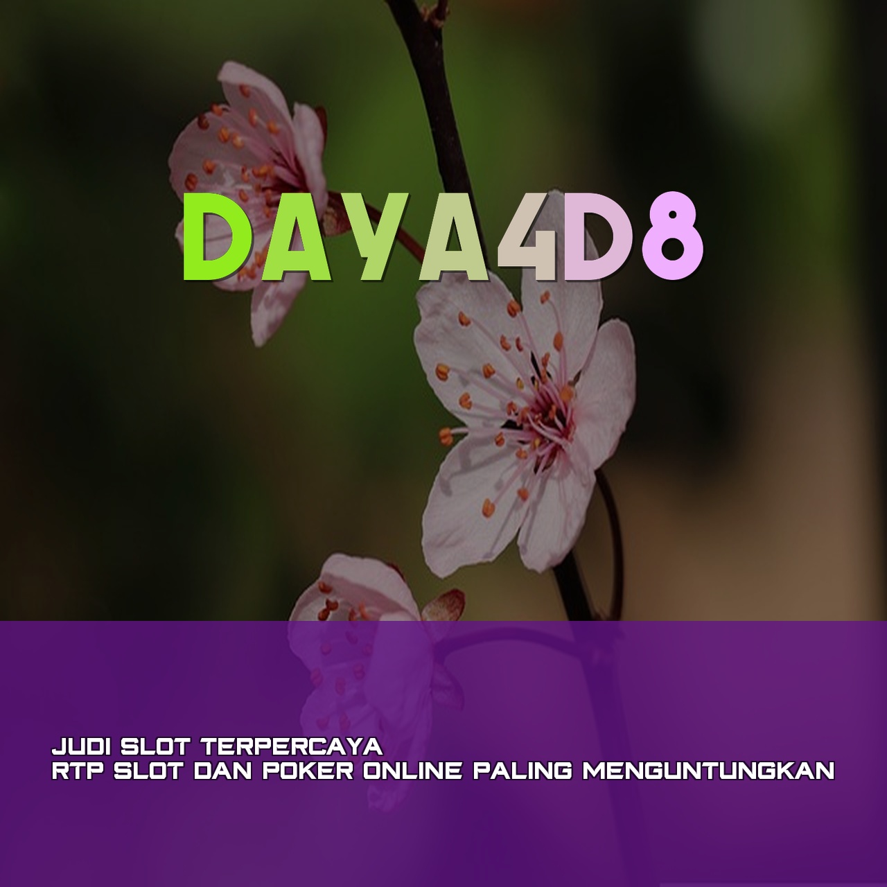 DAYA4D8