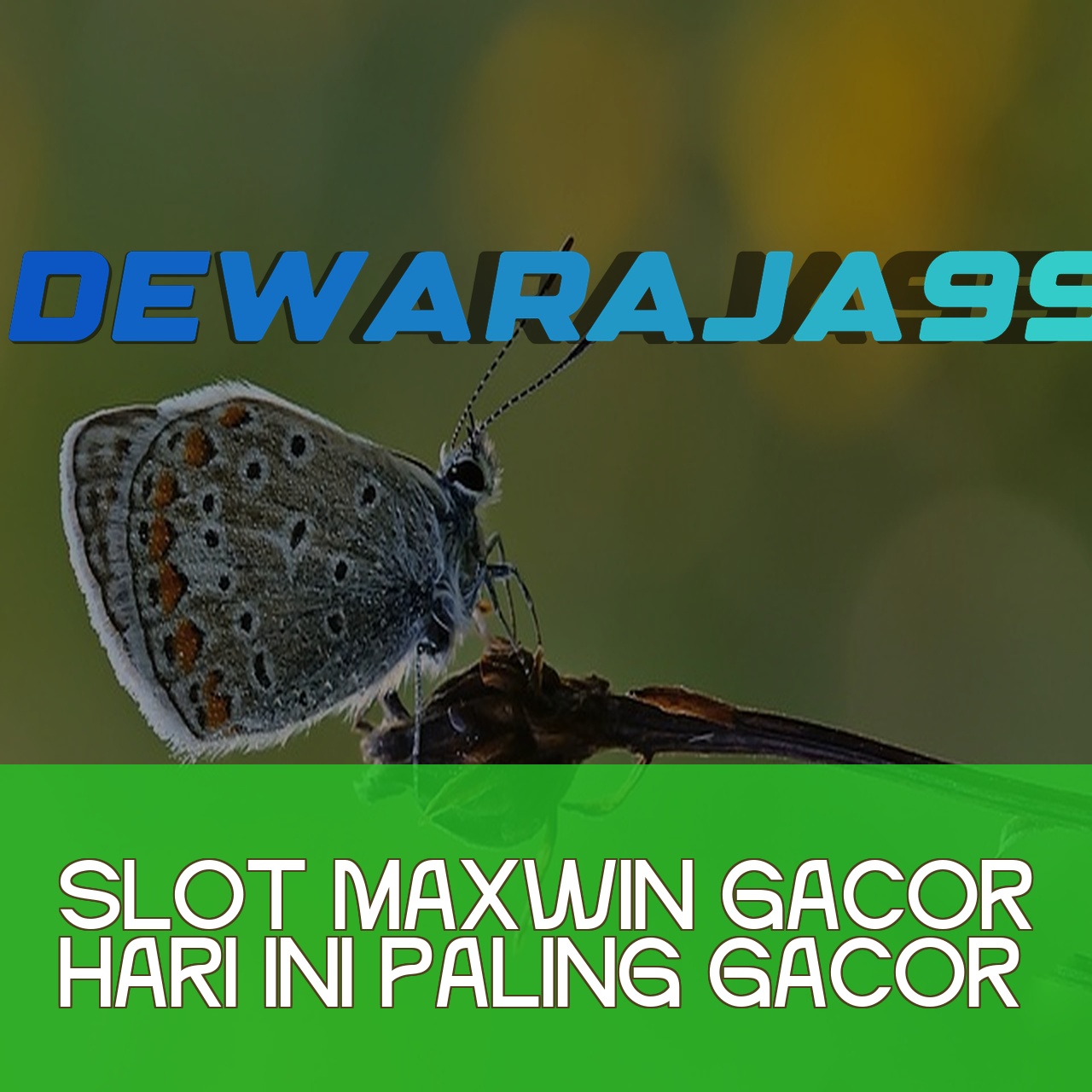 DEWARAJA99