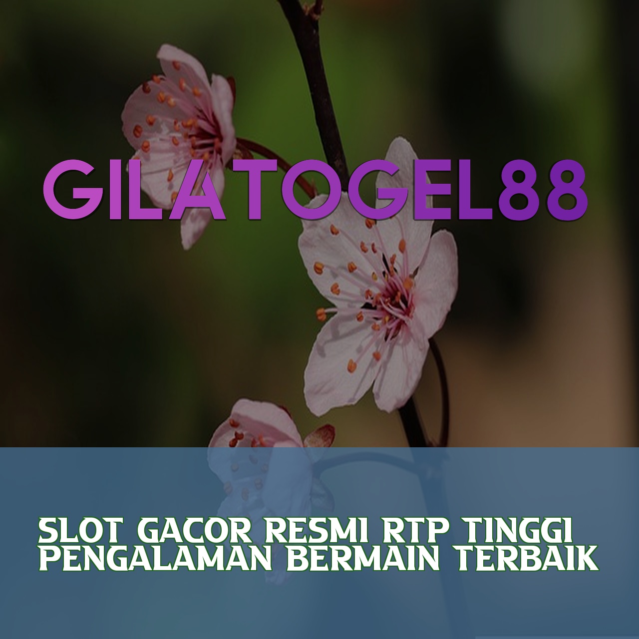 GILATOGEL88