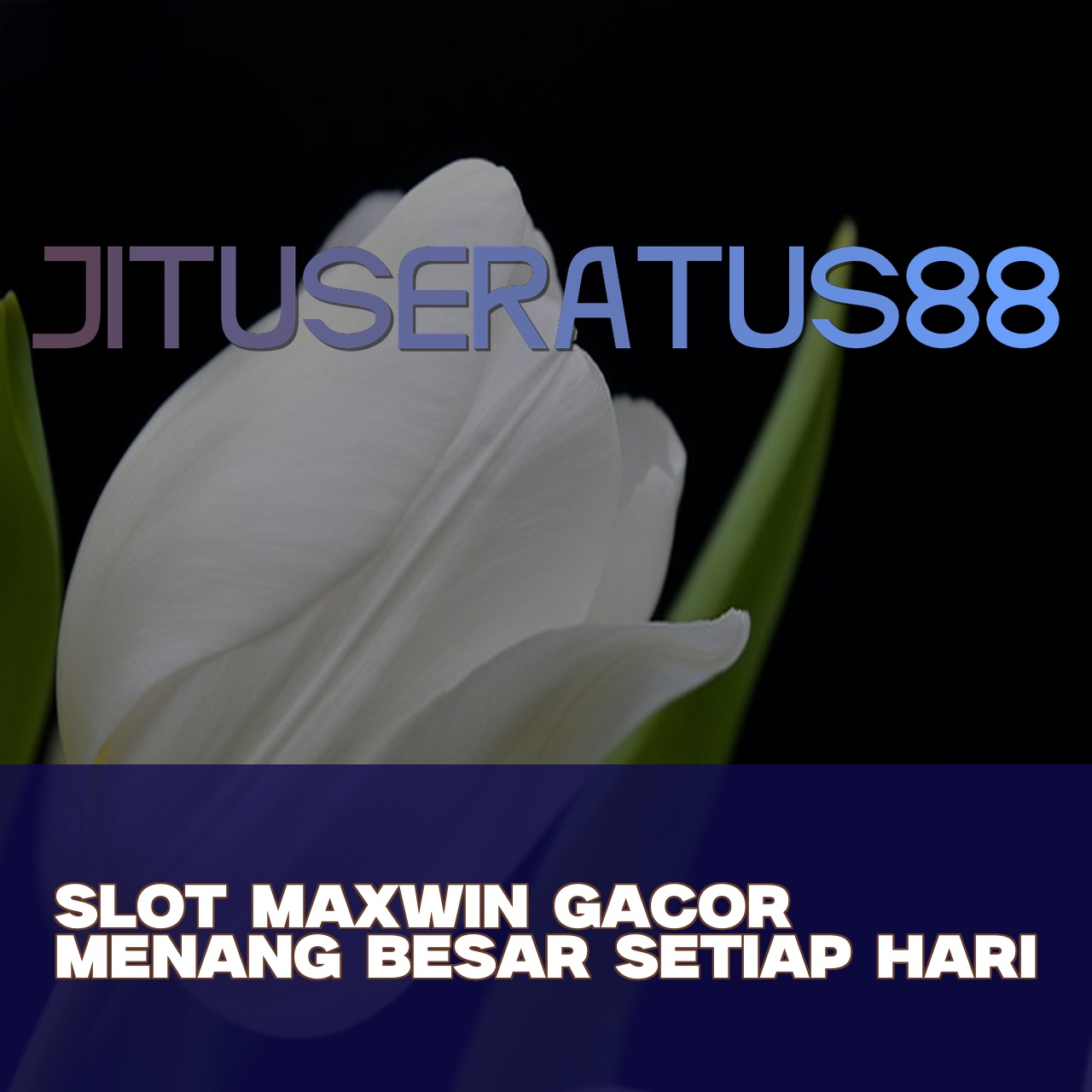 JITUSERATUS88