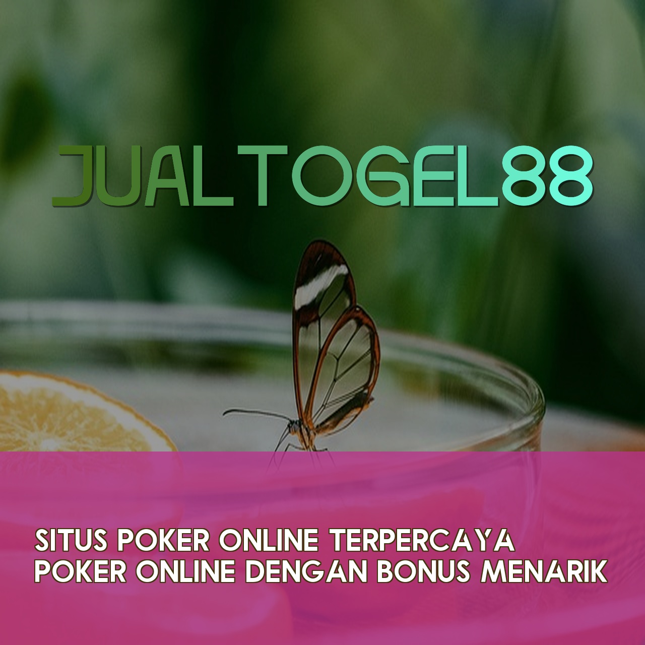 JUALTOGEL88