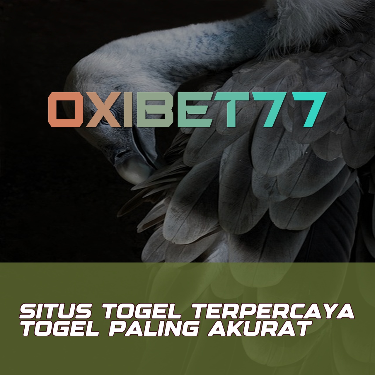 OXIBET77