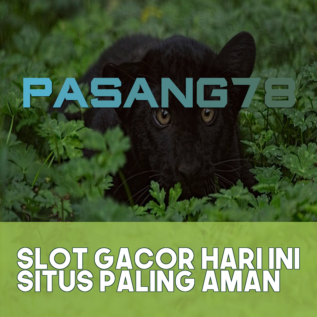 PASANG78