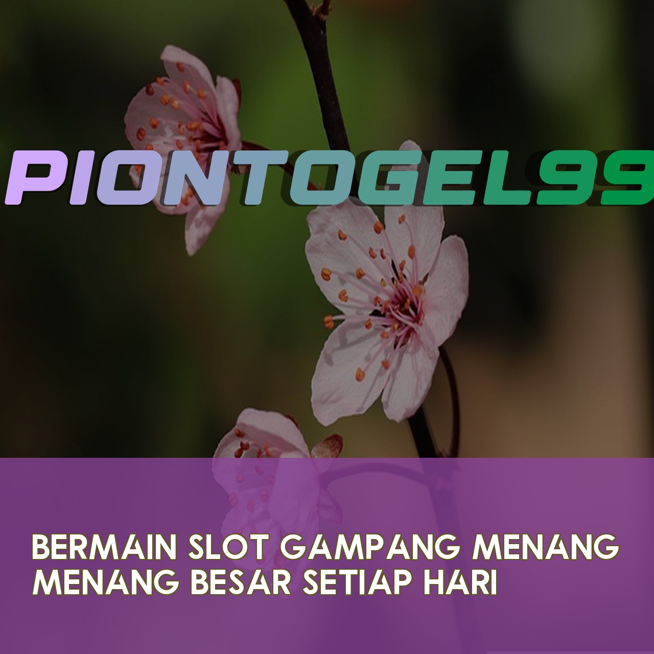 PIONTOGEL99