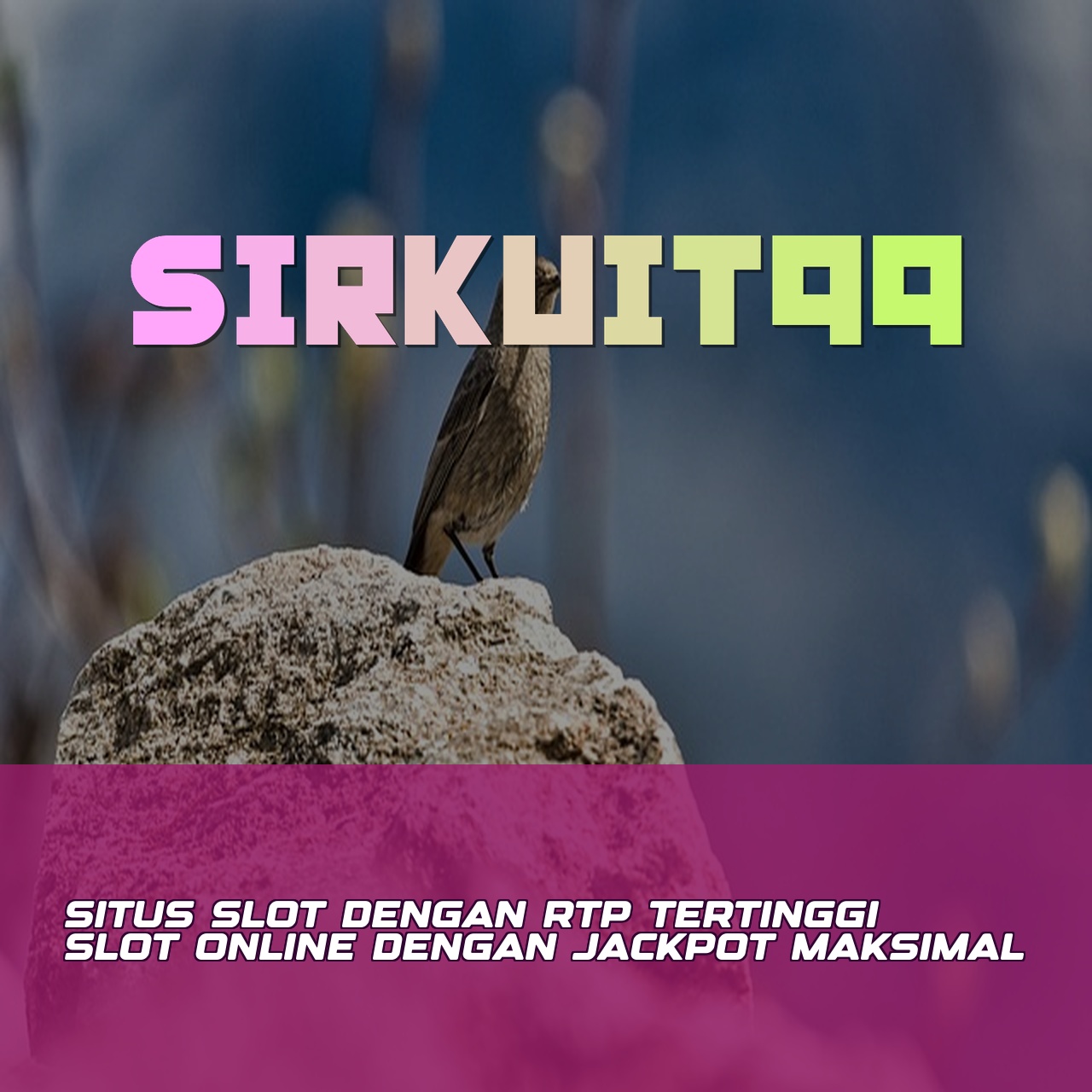 SIRKUIT99