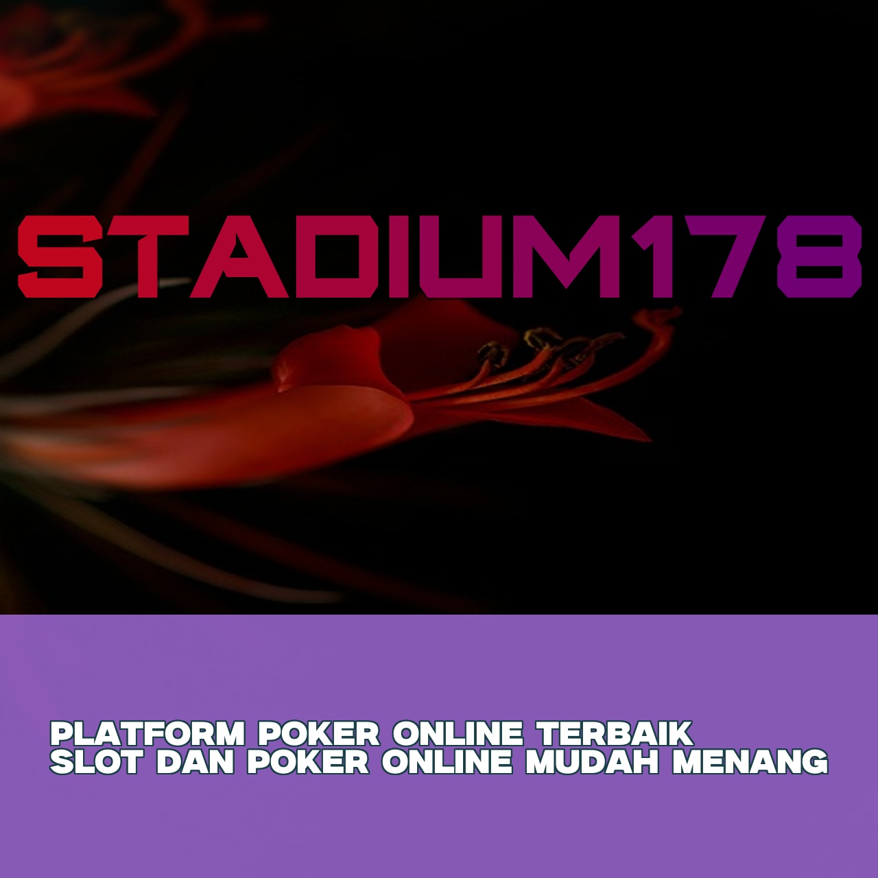 STADIUM178