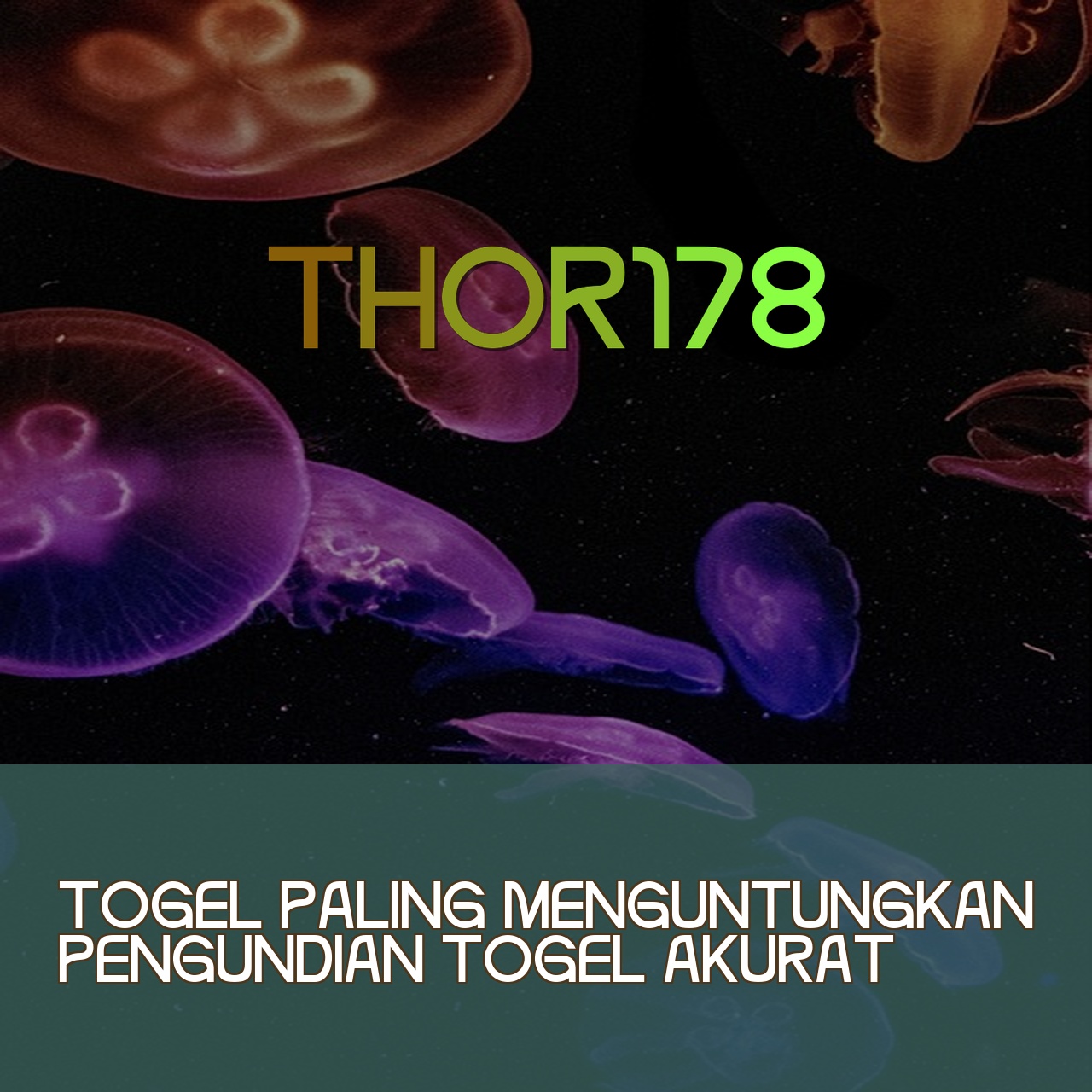 THOR178