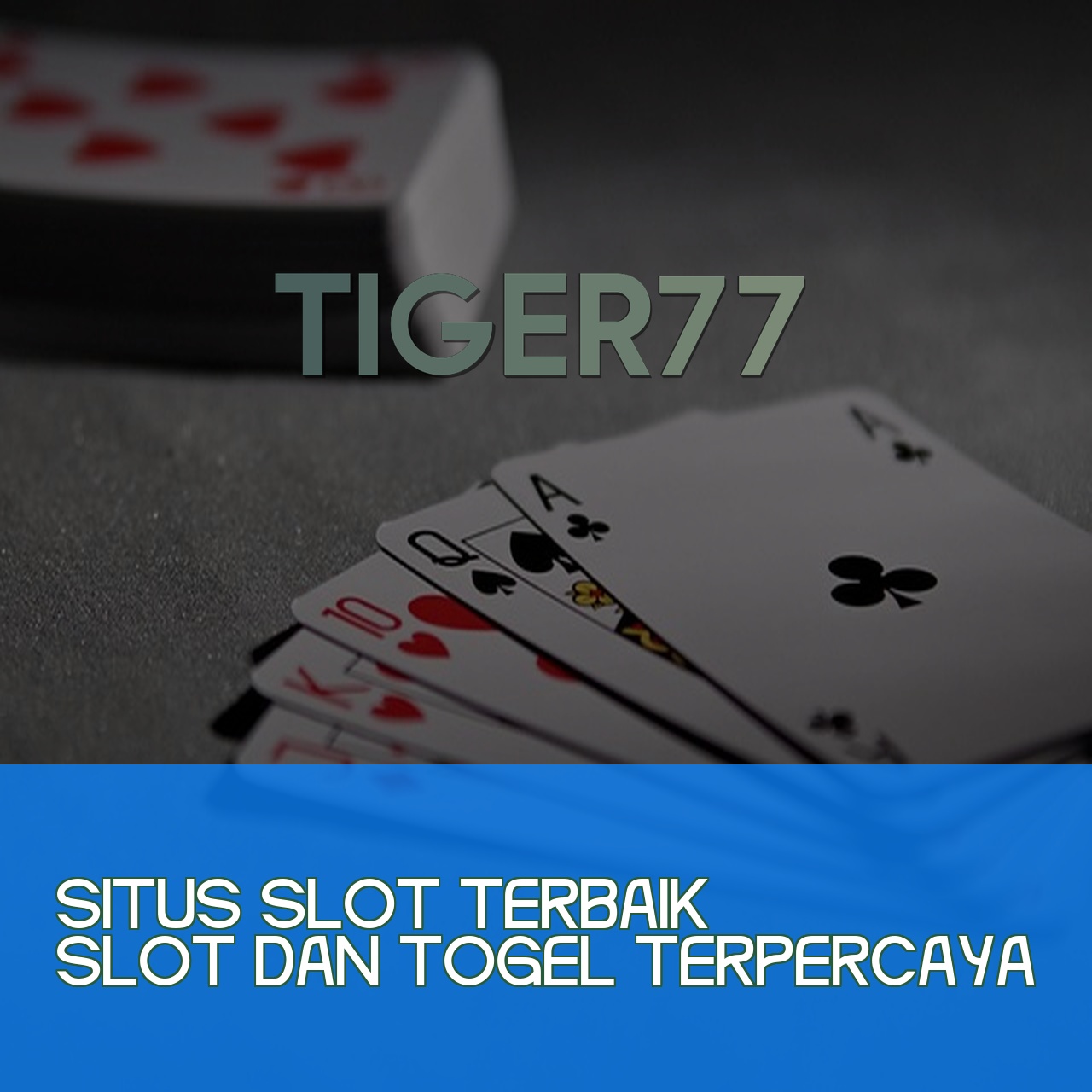 TIGER77