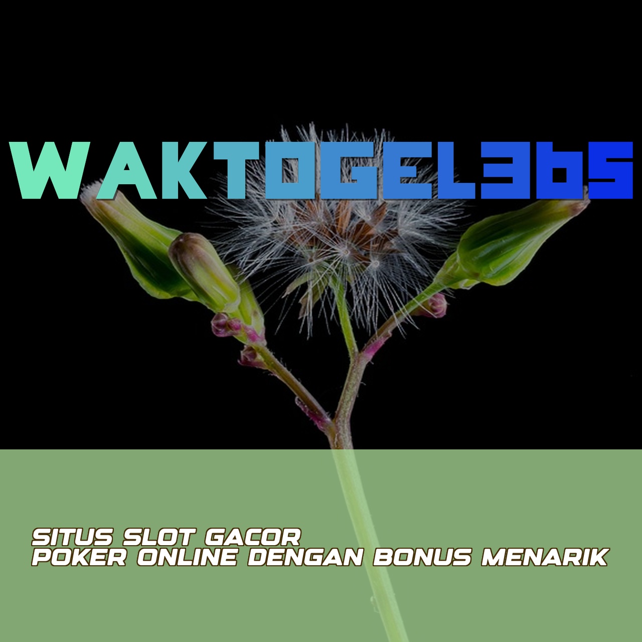 WAKTOGEL365