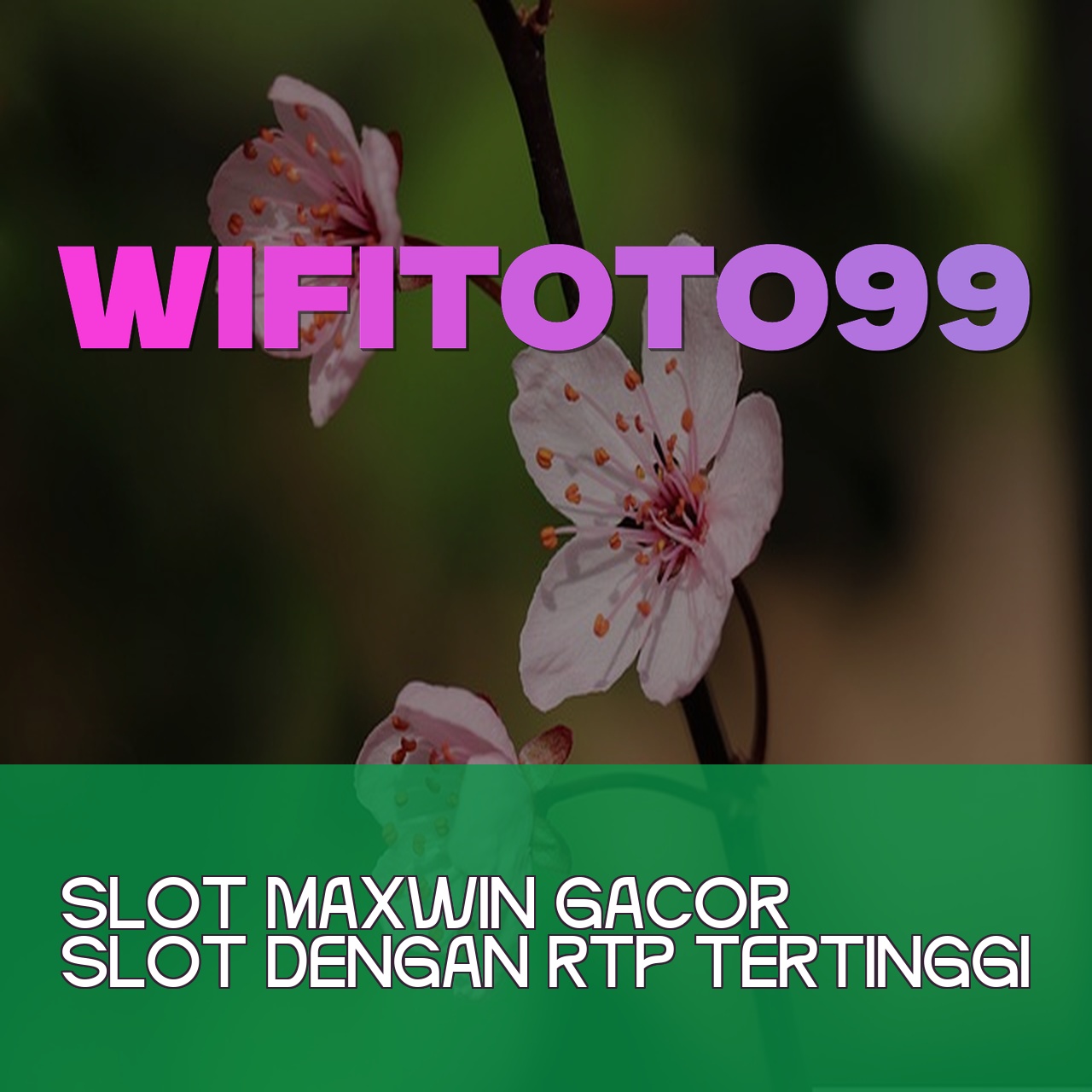 WIFITOTO99